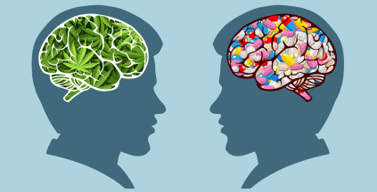 marijuana and the brain