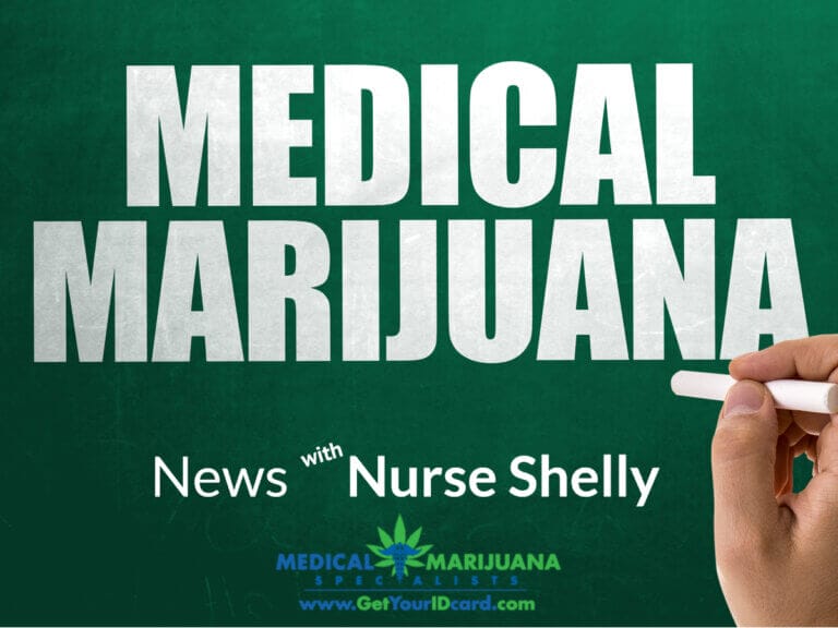 medical marijuana newsletter