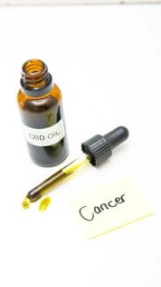 cbd as cancer therapy