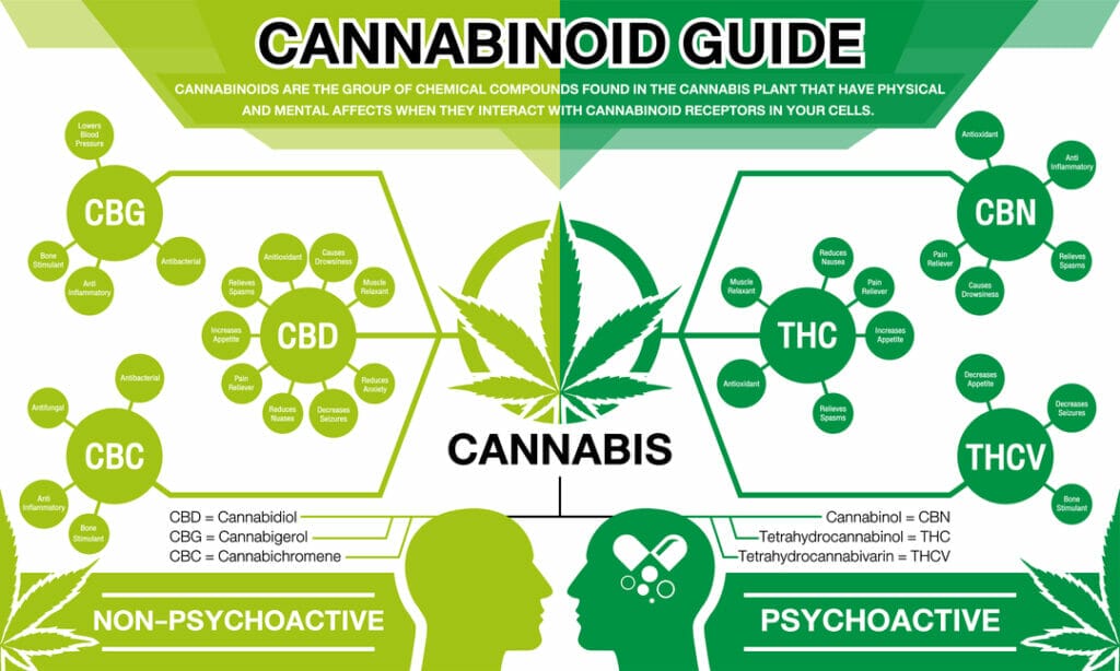 guide to cannabinoids