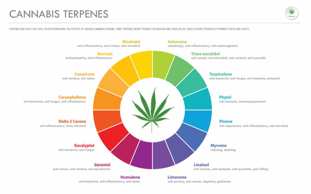 terpenes and benefits