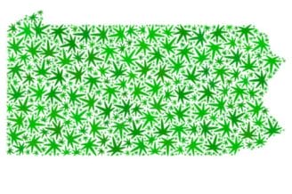 pa medical marijuana