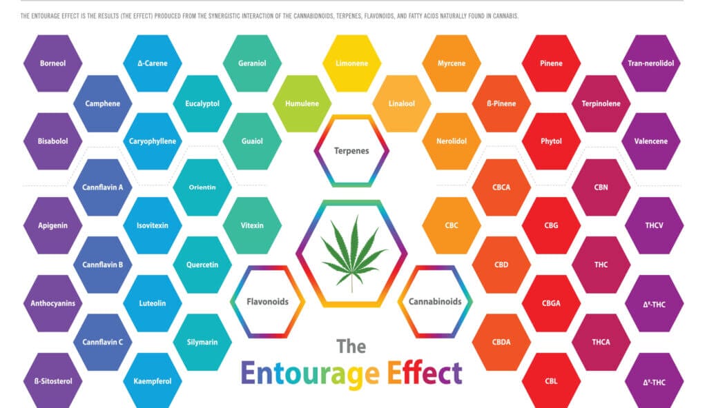 Cannabis Entourae Effect