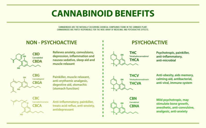 benefits of cannabinoids